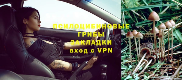 твердый Куйбышев