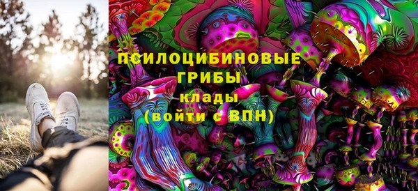 твердый Куйбышев
