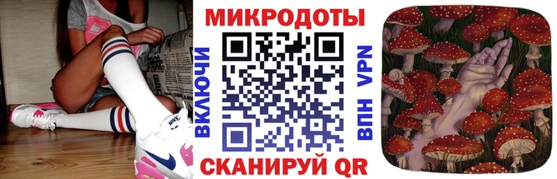 Купить где  Рошаль  Псилоцибиновые грибы ЛСД 